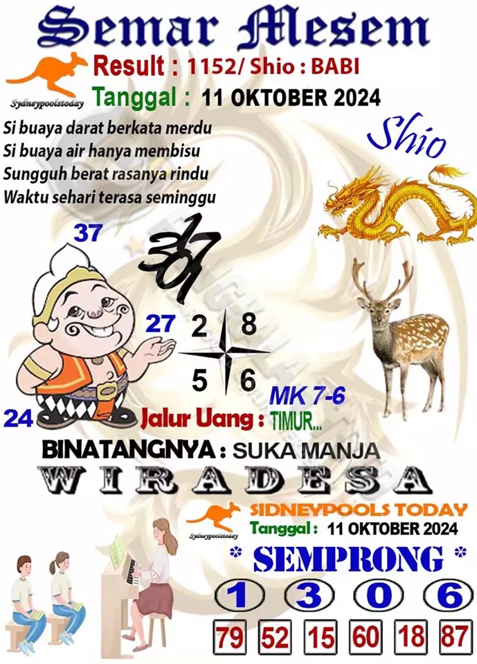 SYAIR SDY VIP